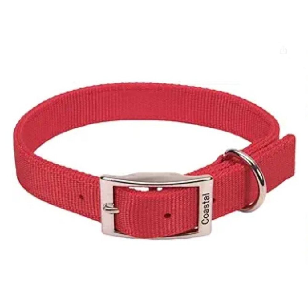 Dog Collar: NWT Durable Double-Ply Nylon, XXL